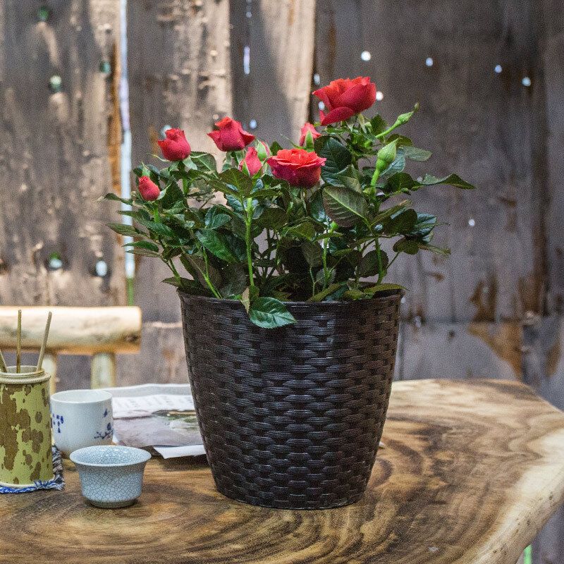 Rattan Resin Planter Pot Hagearbeid Dekorasjon Liten Blomsterpotte