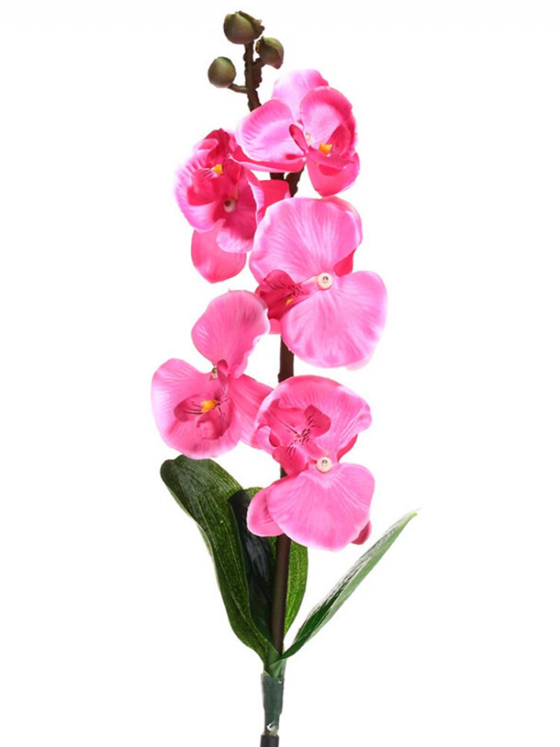 Solenergi Phalaenopsis Hage Stake Landskap Lampe Butterfly Orchid Utendørs Light