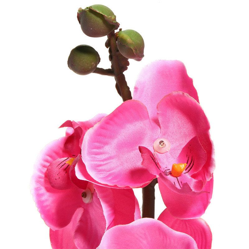 Solenergi Phalaenopsis Hage Stake Landskap Lampe Butterfly Orchid Utendørs Light