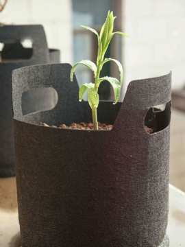 Sort Ikke-vevd Plantepose / Grow Bag Tree Planting Bag