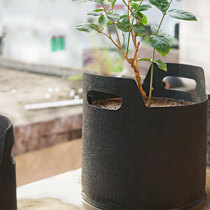 Sort Ikke-vevd Plantepose / Grow Bag Tree Planting Bag