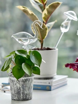 Vannkanne I Glass Kreative Former Hageplanter Stueplante Automatisk Selvvanningsanordning Glassvanning For Hageverktøy