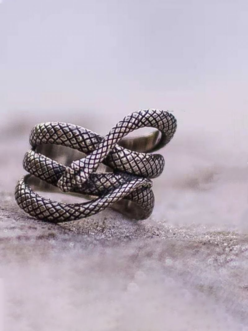 Vintage Entwined Snake Shape Alloy Ring