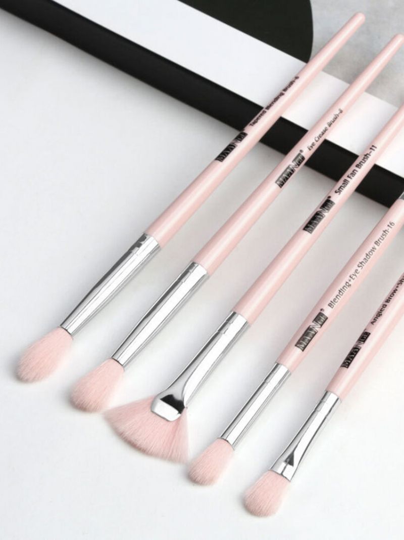 5 Stk Sminkebørstesett Bærbar Nybegynnere Enkel Sminke Øyenskygge Blush Brush Kit