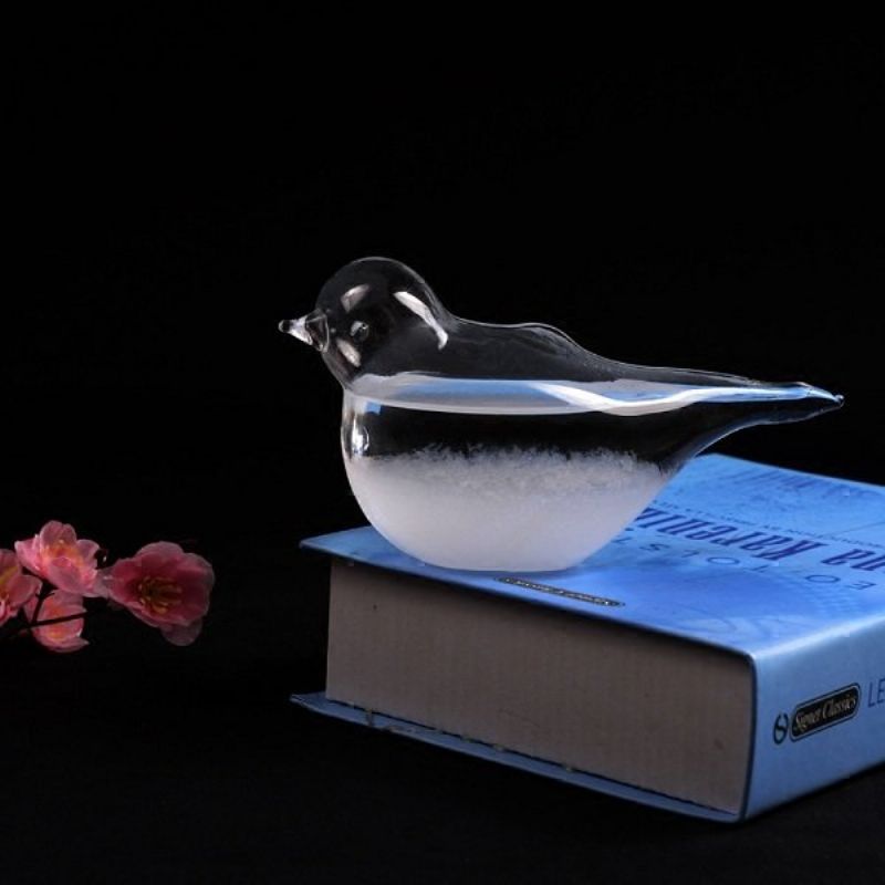 7.5x10cm Creative Bird Shape Værmelding Storm Glass Roman Home Decor