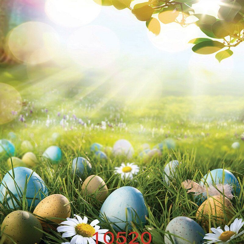 80x125cm Easter Rabbit Egg Fotobakgrunn Spring Break Happy Time Collection Helper Home Wall Art