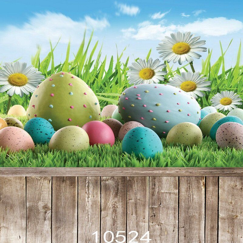 80x125cm Easter Rabbit Egg Fotobakgrunn Spring Break Happy Time Collection Helper Home Wall Art