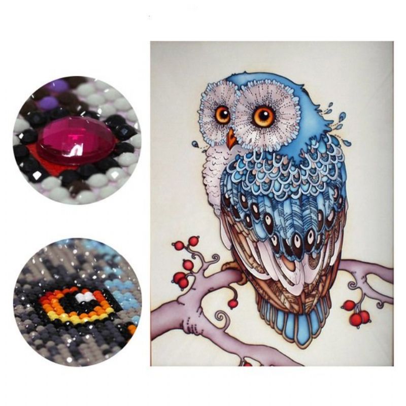 Diy Owl Full 5d Diamantmaleri Veggkunst Hengende Malerigave Home Decor