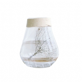 Gjennomsiktig Glassvase Med Hampetau Husholdningsmøbler Dekorativ Vase