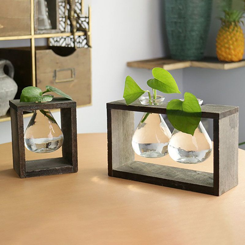 Kreativ Enkel Stil Glass Tre Plante Vase Hjem Dekorativ Planter