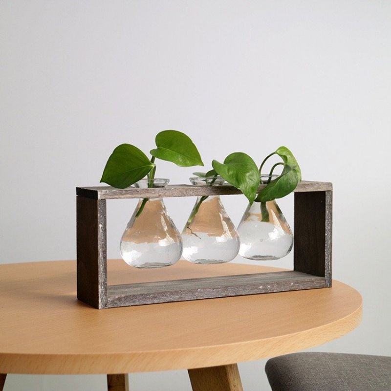 Kreativ Enkel Stil Glass Tre Plante Vase Hjem Dekorativ Planter