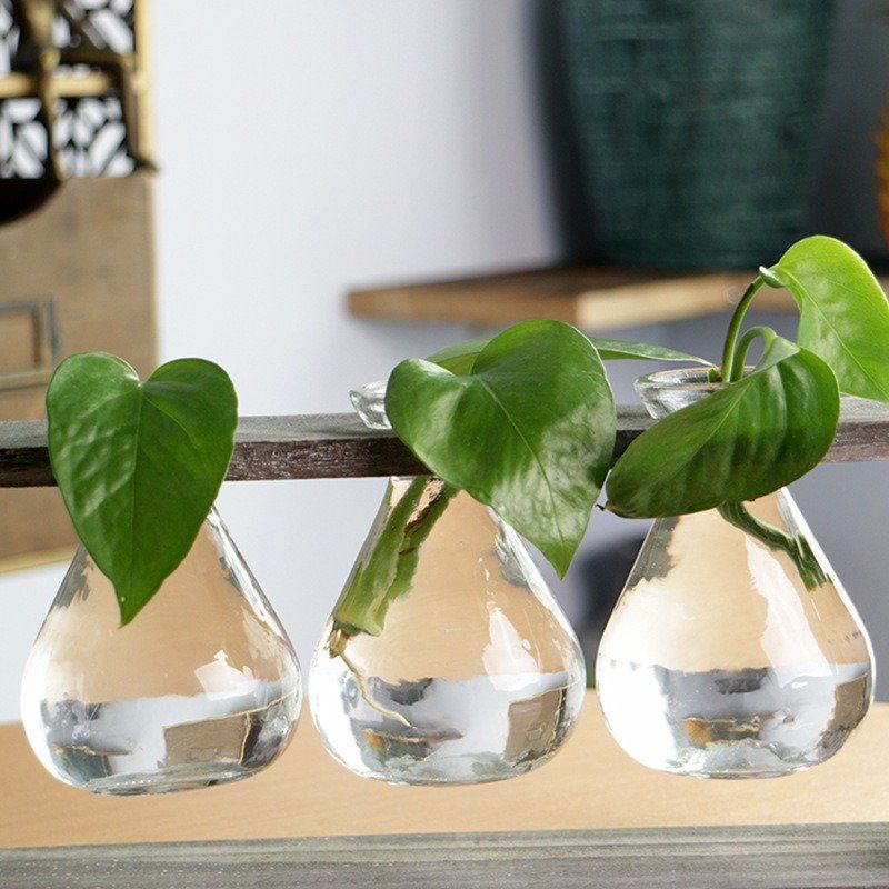 Kreativ Enkel Stil Glass Tre Plante Vase Hjem Dekorativ Planter