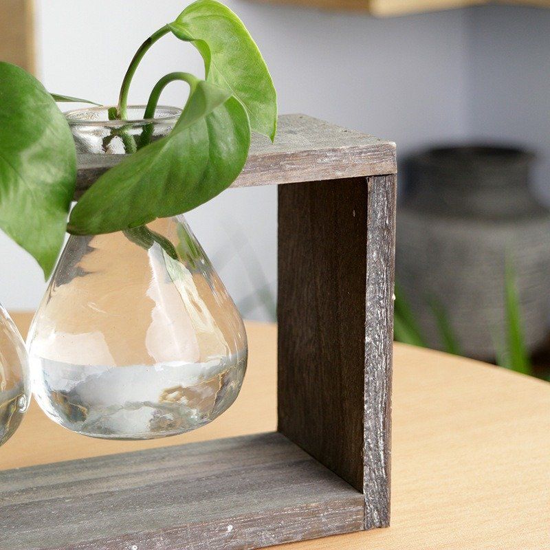 Kreativ Enkel Stil Glass Tre Plante Vase Hjem Dekorativ Planter