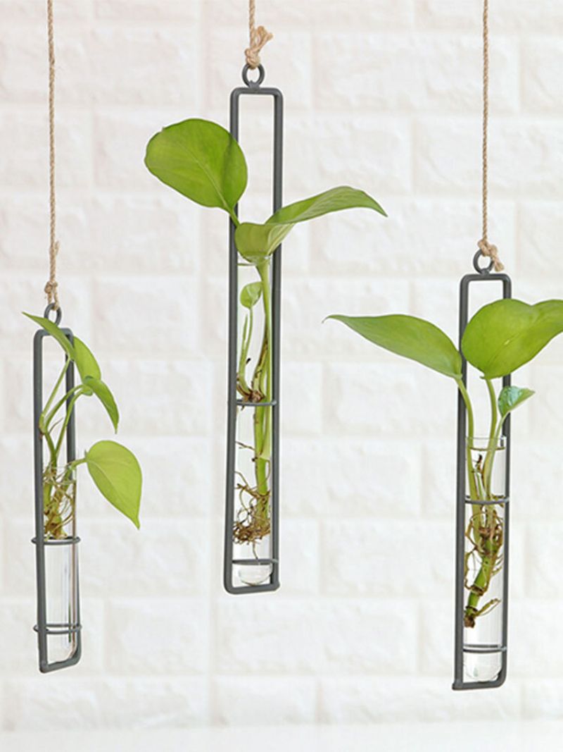 Kreativ Jern Glass Vase Stue Veggdekorasjoner Vannsprinkler Grønn Grønnsaksbeholder
