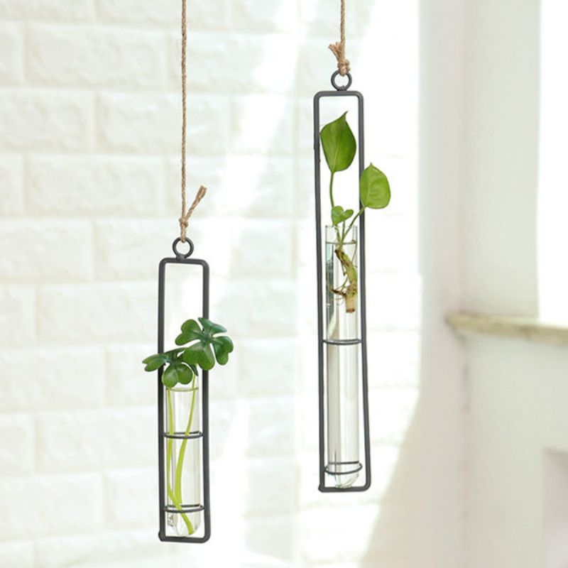 Kreativ Jern Glass Vase Stue Veggdekorasjoner Vannsprinkler Grønn Grønnsaksbeholder