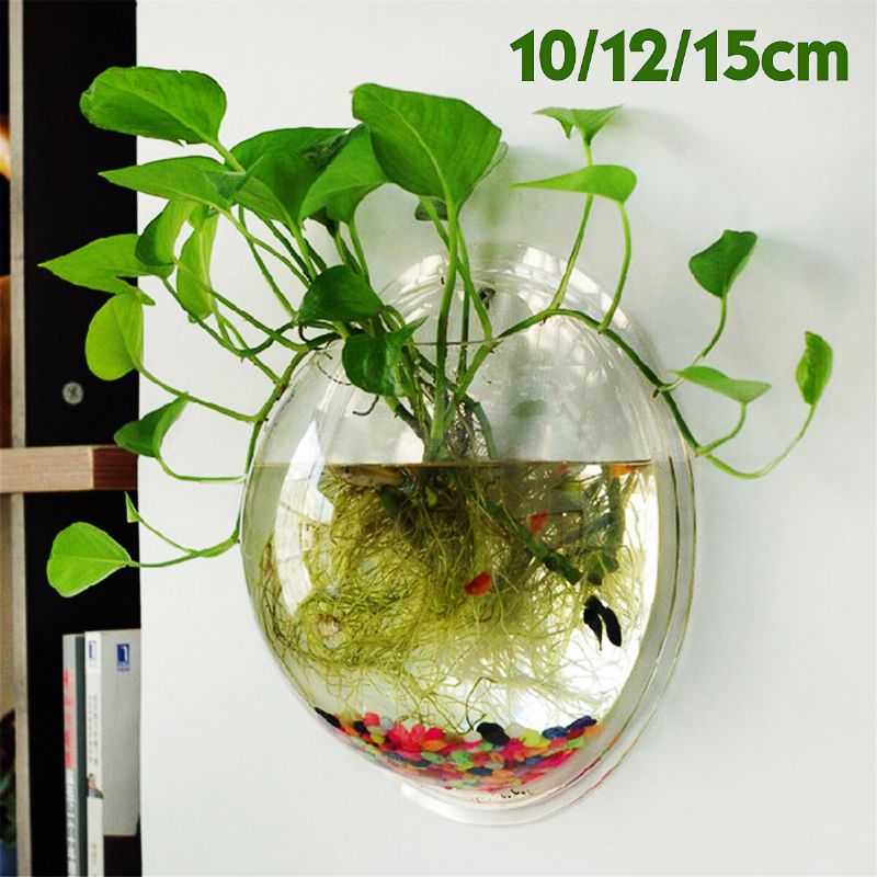 Kreativt Veggheng Transparent Glass Vase Hydroponic Stue Home Decor