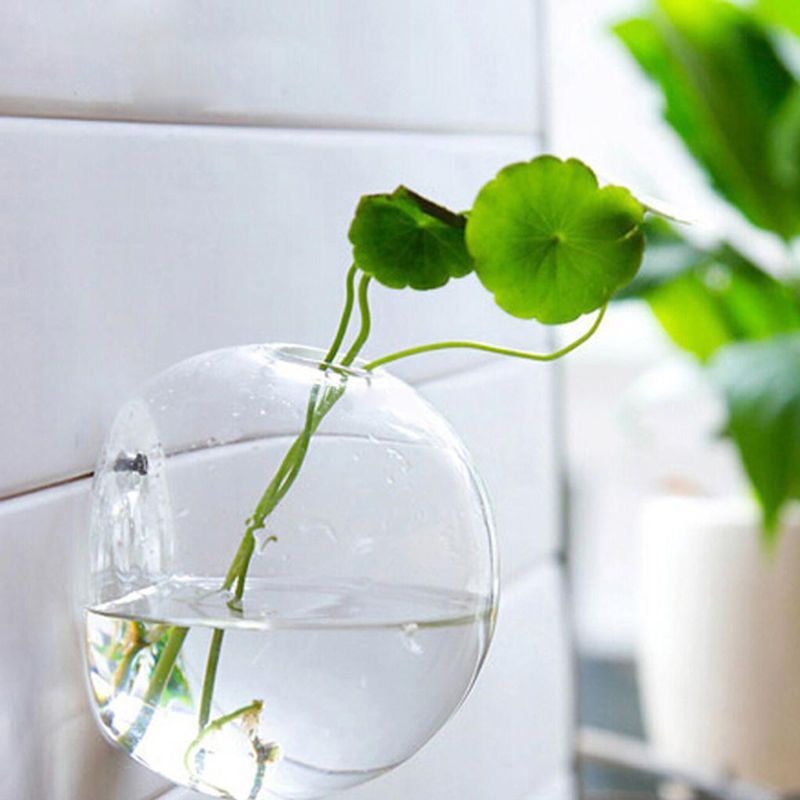 Kreativt Veggheng Transparent Glass Vase Hydroponic Stue Home Decor