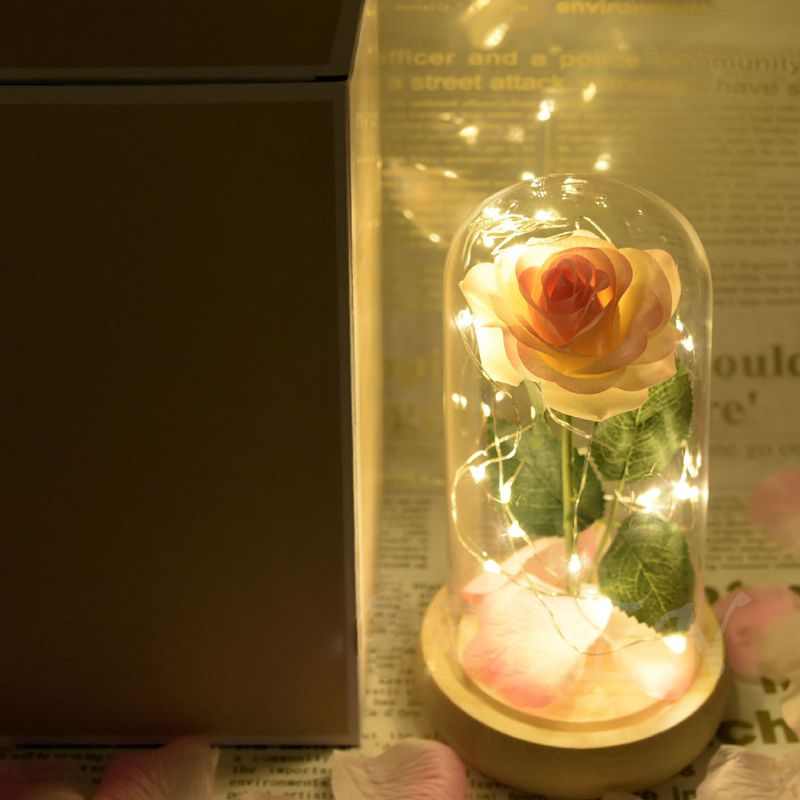 Champagne Roses Lampe Med Led Fairy String Lights Fallne Kronblad Og Abs Base I En Glasskuppel Valentinsdag Romantiske Gaver