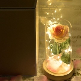 Champagne Roses Lampe Med Led Fairy String Lights Fallne Kronblad Og Abs Base I En Glasskuppel Valentinsdag Romantiske Gaver