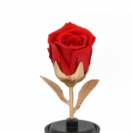 Eternal Flowers Silk Rose Roterende Musikkboks Med Glass For Kone Elsker Kjæreste Bryllupsdag Bursdagsgave