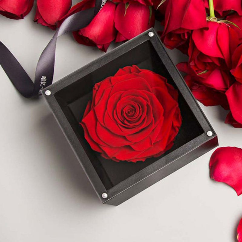 Eternal Rose Med Gaveeske Forever Blossom Flower For Love Ones Kunstig Life Gift For Mom Lover Kjæreste