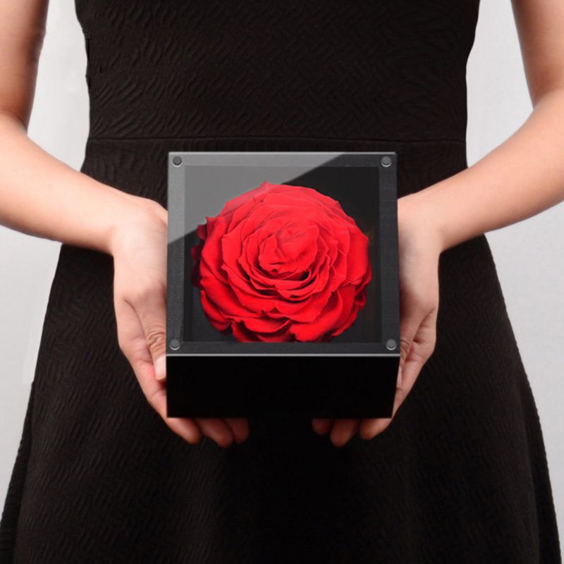 Eternal Rose Med Gaveeske Forever Blossom Flower For Love Ones Kunstig Life Gift For Mom Lover Kjæreste