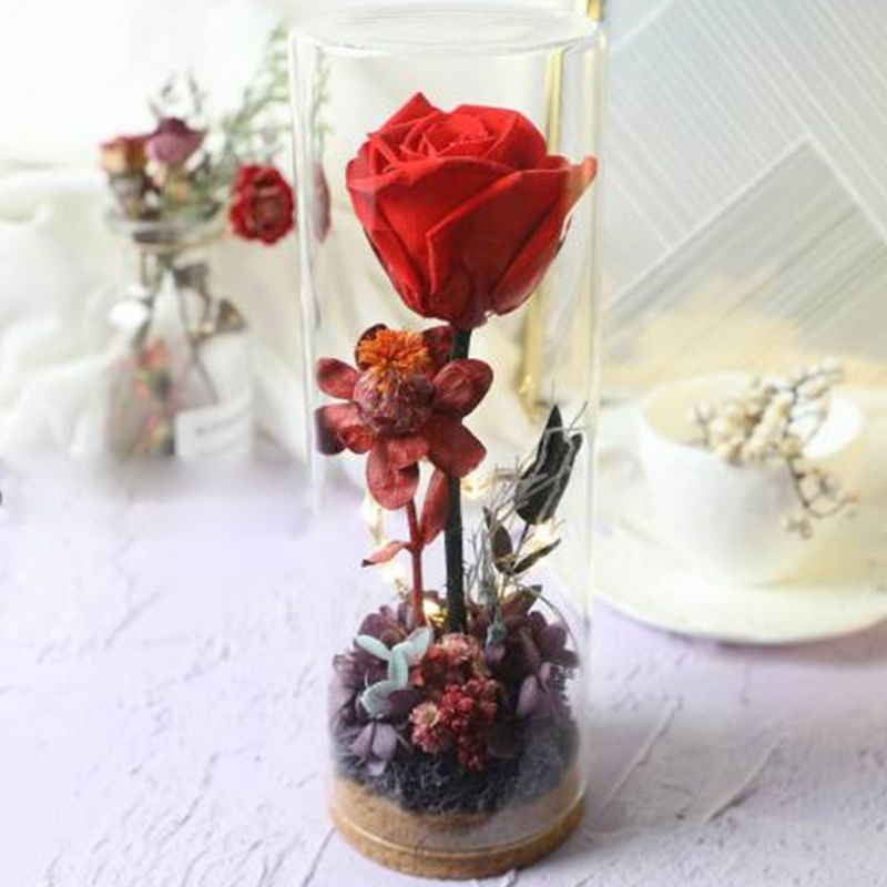 Glassflaske Eternal Rose Med Led-lys Bevart Ekte Blomst Romantisk Gave Til Elskeren Valentinsdag Bryllupsdag