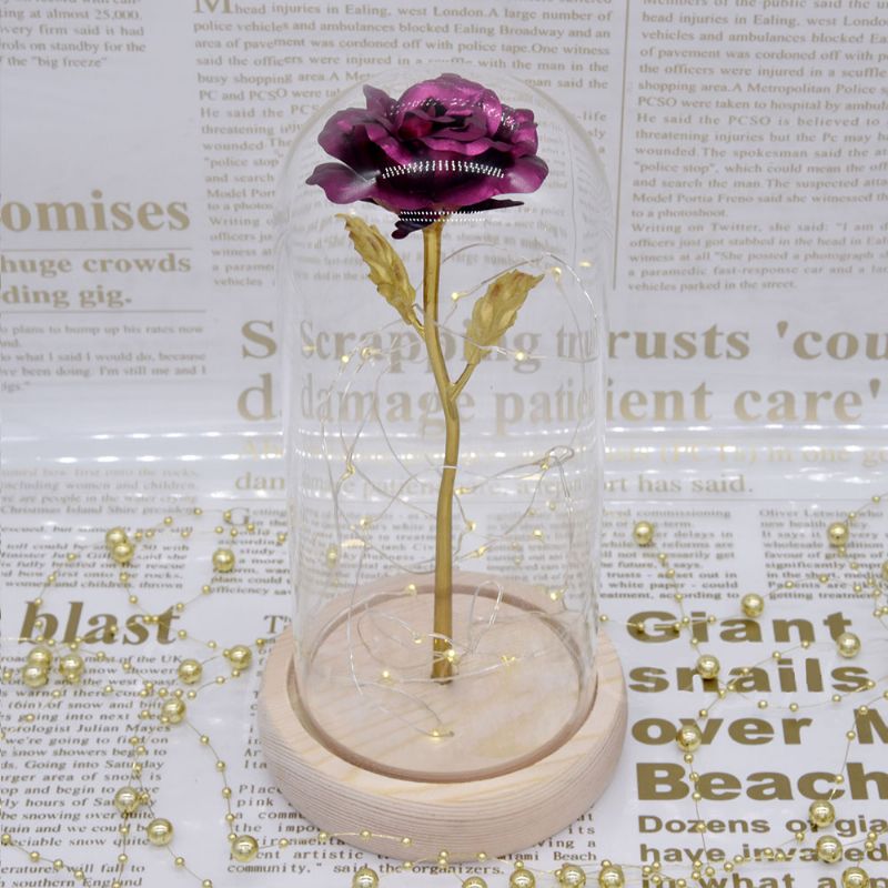 Gold Roses Lamp Med Fairy String Lights Fallne Kronblad Og Abs Base I En Glasskuppel Valentinsdagsgaver