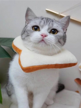 Justerbar Elizabeth Collar Cat Toast Brød Pet Anti-smashing Ring Cat Anti-grab Bite