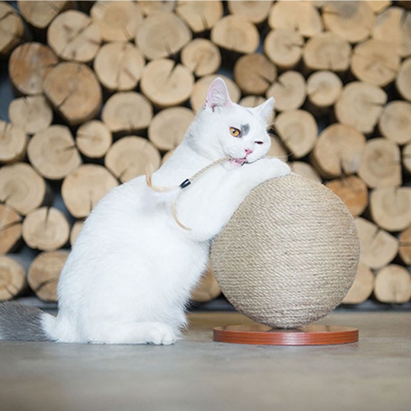 Katter Hampetauball Interaktiv Strikket Naturlig Leke For Kattunger Globe Lekeball For Kjæledyr Skrapestål