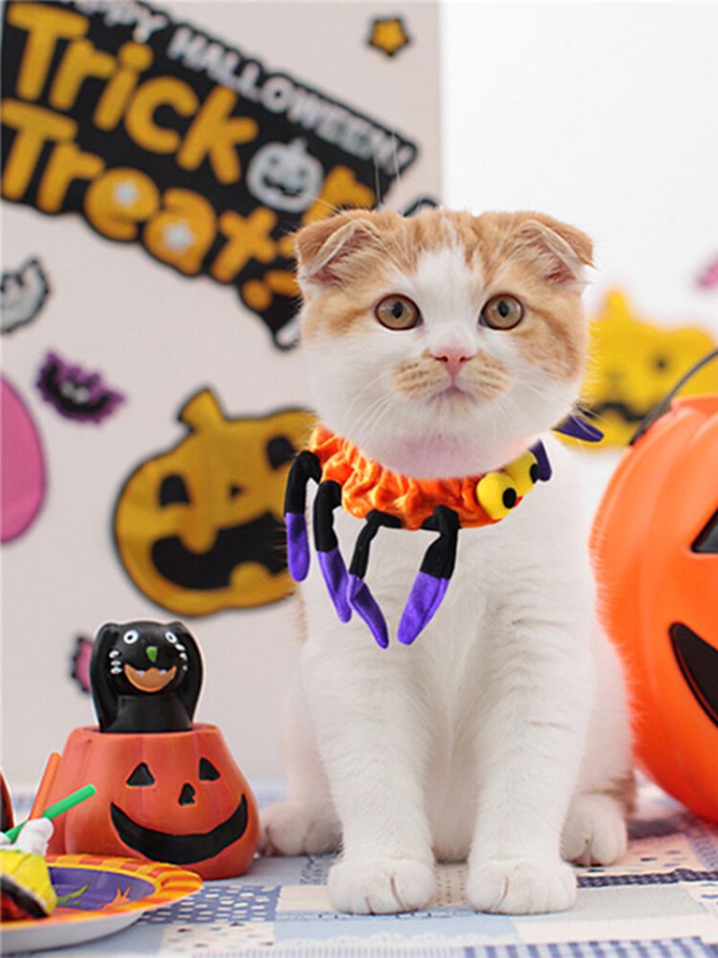 Pet Edderkopphalsbånd Hund Katt Valp Kitty Cap Halloween Rekvisita Dyrekostyme