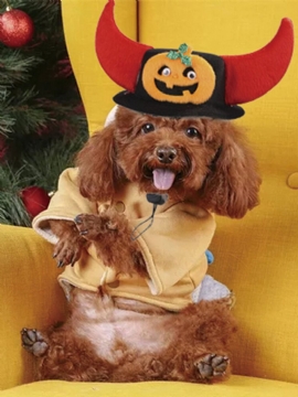 Pet Hat Hund Halloween Juleparykksett Katt Morsomme Hodeplagg Rekvisita