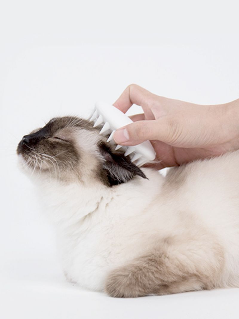 Petkit Pet Cat Grooming Massasje Device Børste Fra Comb Silicon Med Mykt Gummi