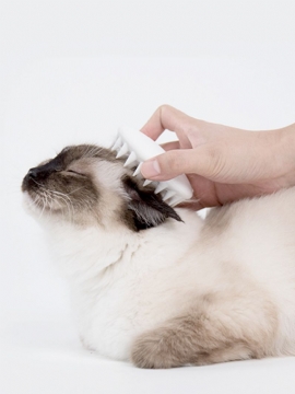 Petkit Pet Cat Grooming Massasje Device Børste Fra Comb Silicon Med Mykt Gummi