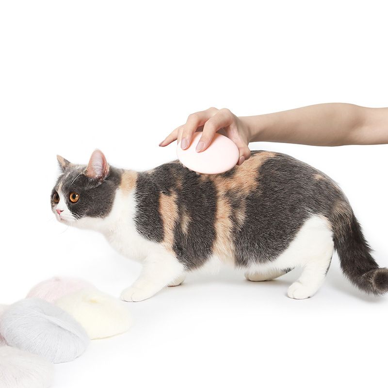 Petkit Pet Cat Grooming Massasje Device Børste Fra Comb Silicon Med Mykt Gummi